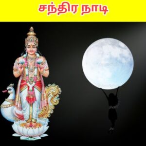 சந்திர நாடி