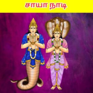 சாயா நாடி