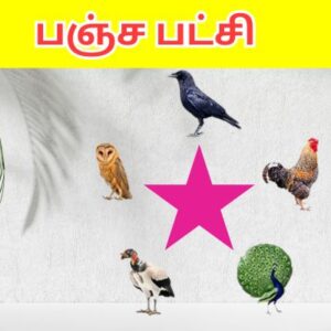 பஞ்ச பட்சி