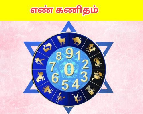 எண் கணிதம்