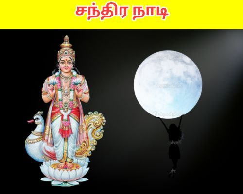 சந்திர நாடி