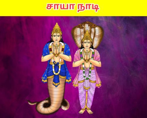 சாயா நாடி